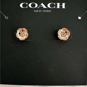 Coach Rose Gold Earrings